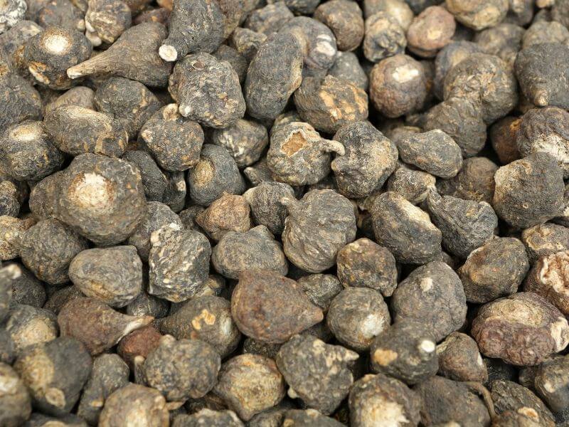 energy-boost-of-maca