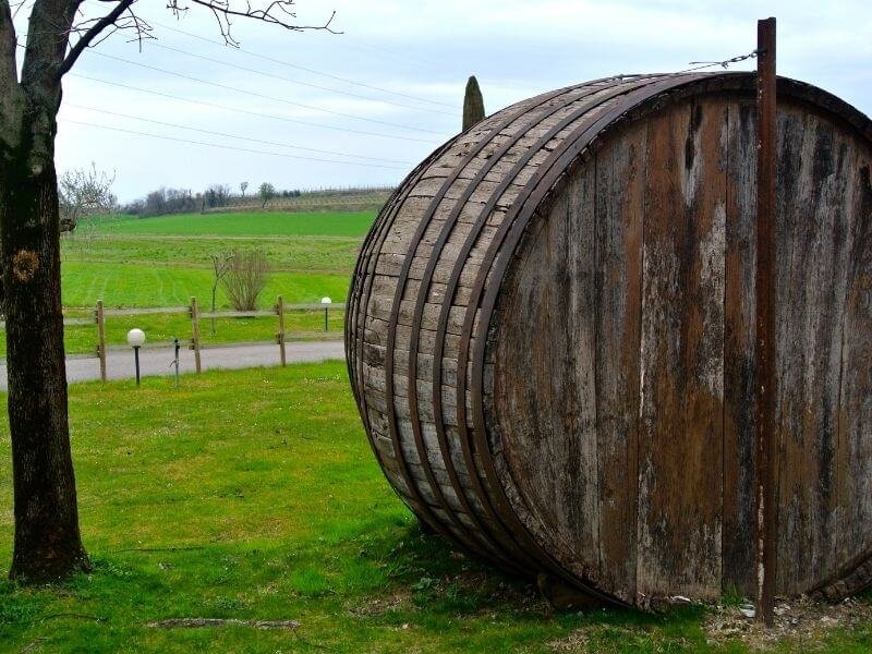 history-of-sassicaia-wine